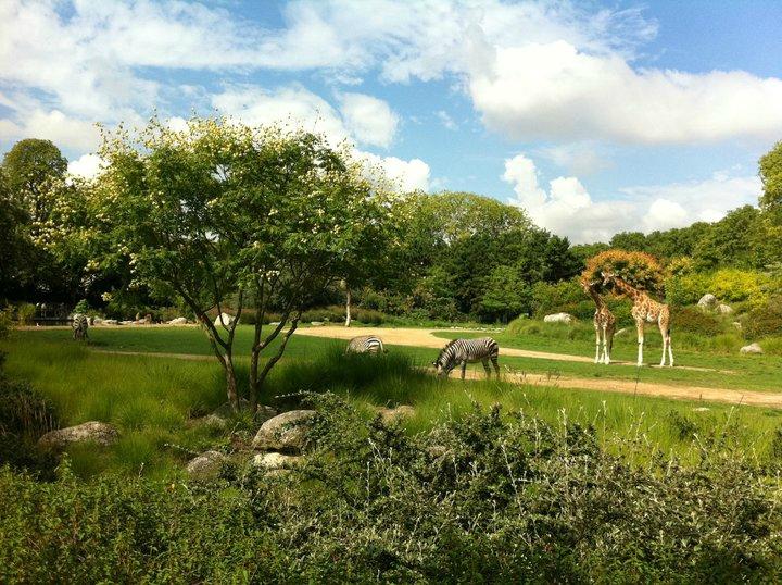 zoo-de-lyon